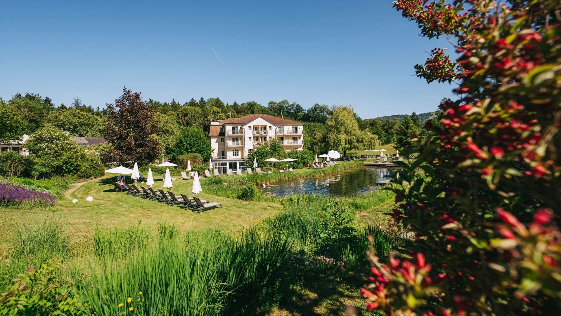 RelaxResort Kothmühle mit Naturbadeteich