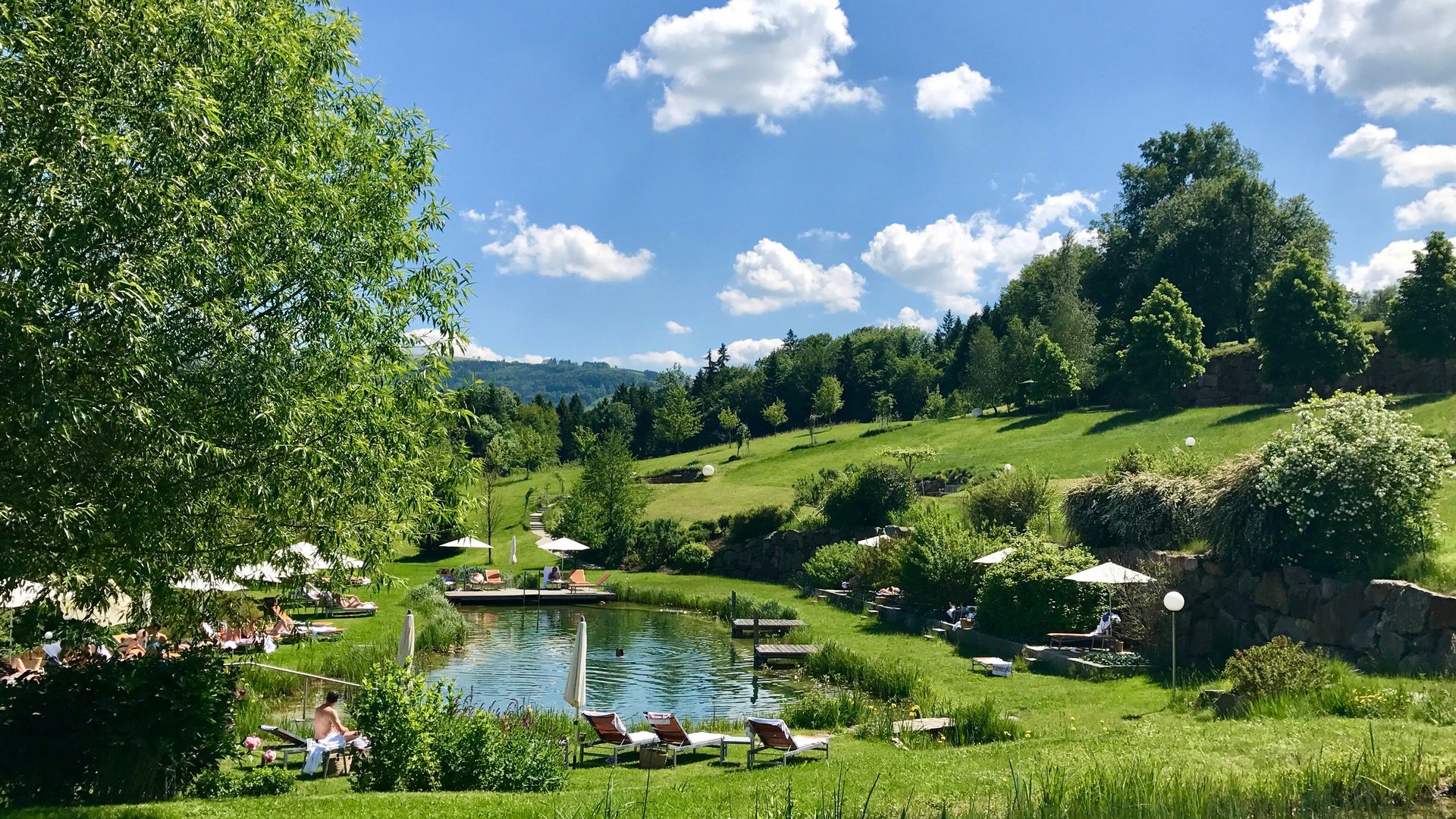 Garten mit Naturbadeteich im Sommer