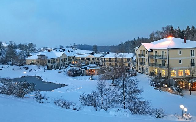 winter in the Kothmühle