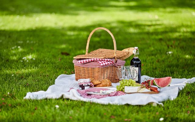 Picknick - Kothmühle