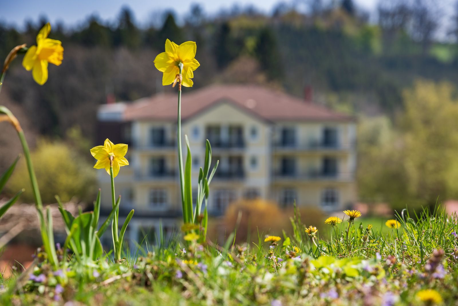 Frühling RelaxResort Kothmühle