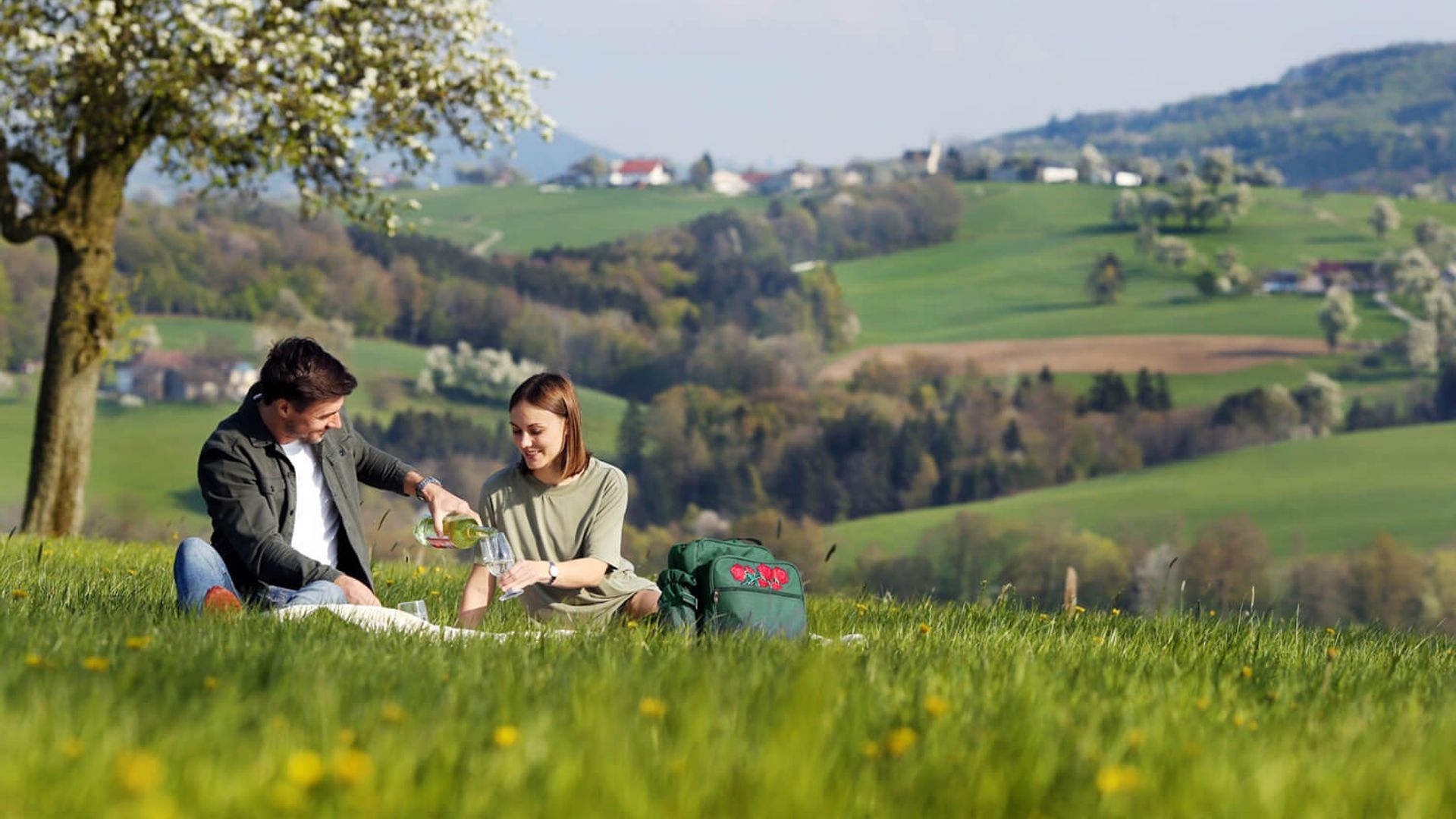 Picknick Birnbaumblüte