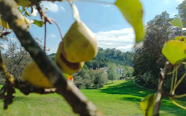 pear garden