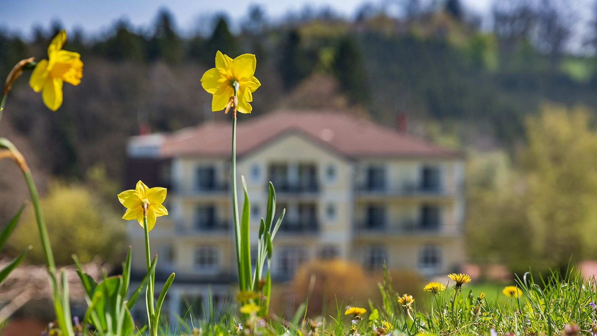 Hotel Frühling Garten