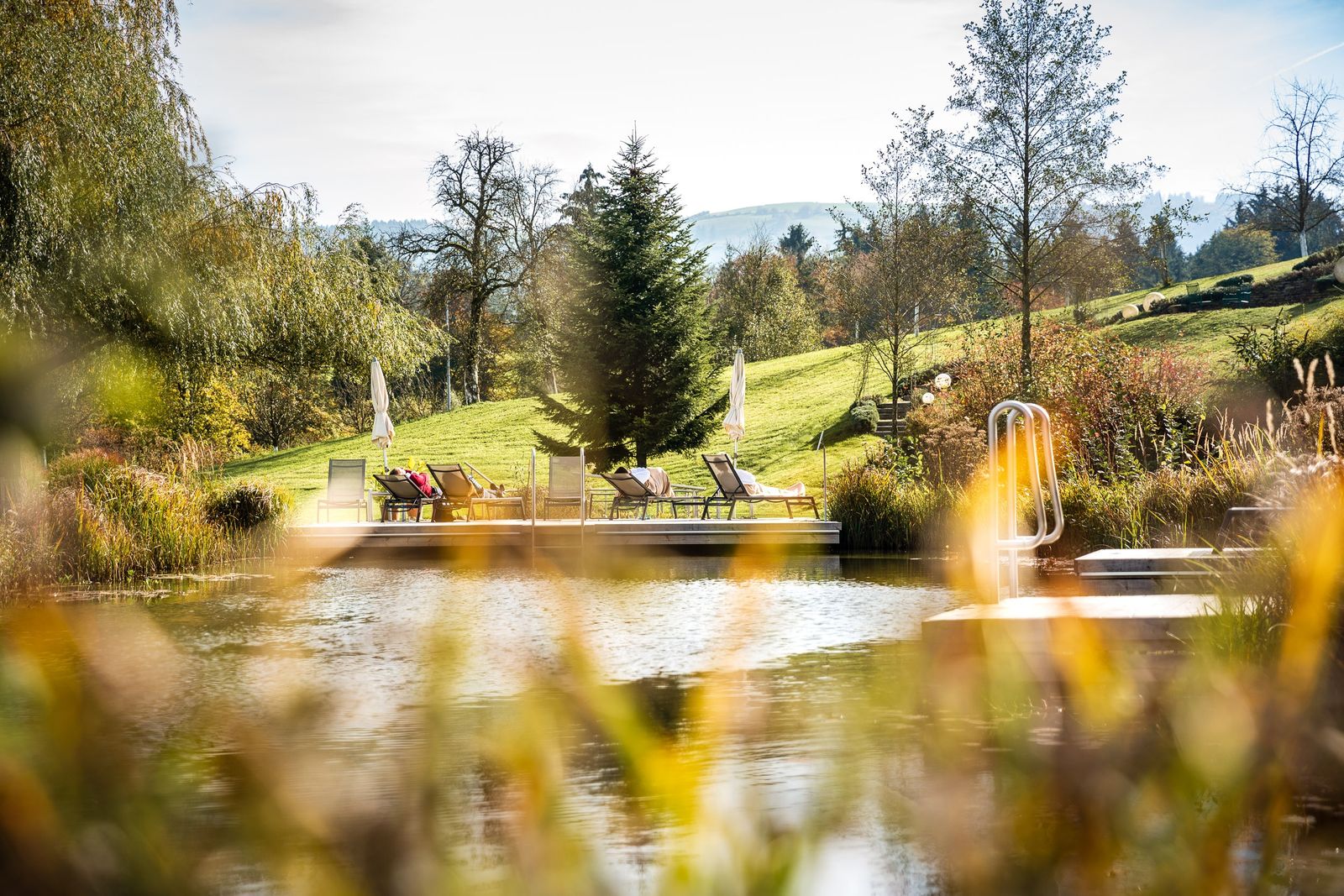 Garten mit Schwimmbiotop