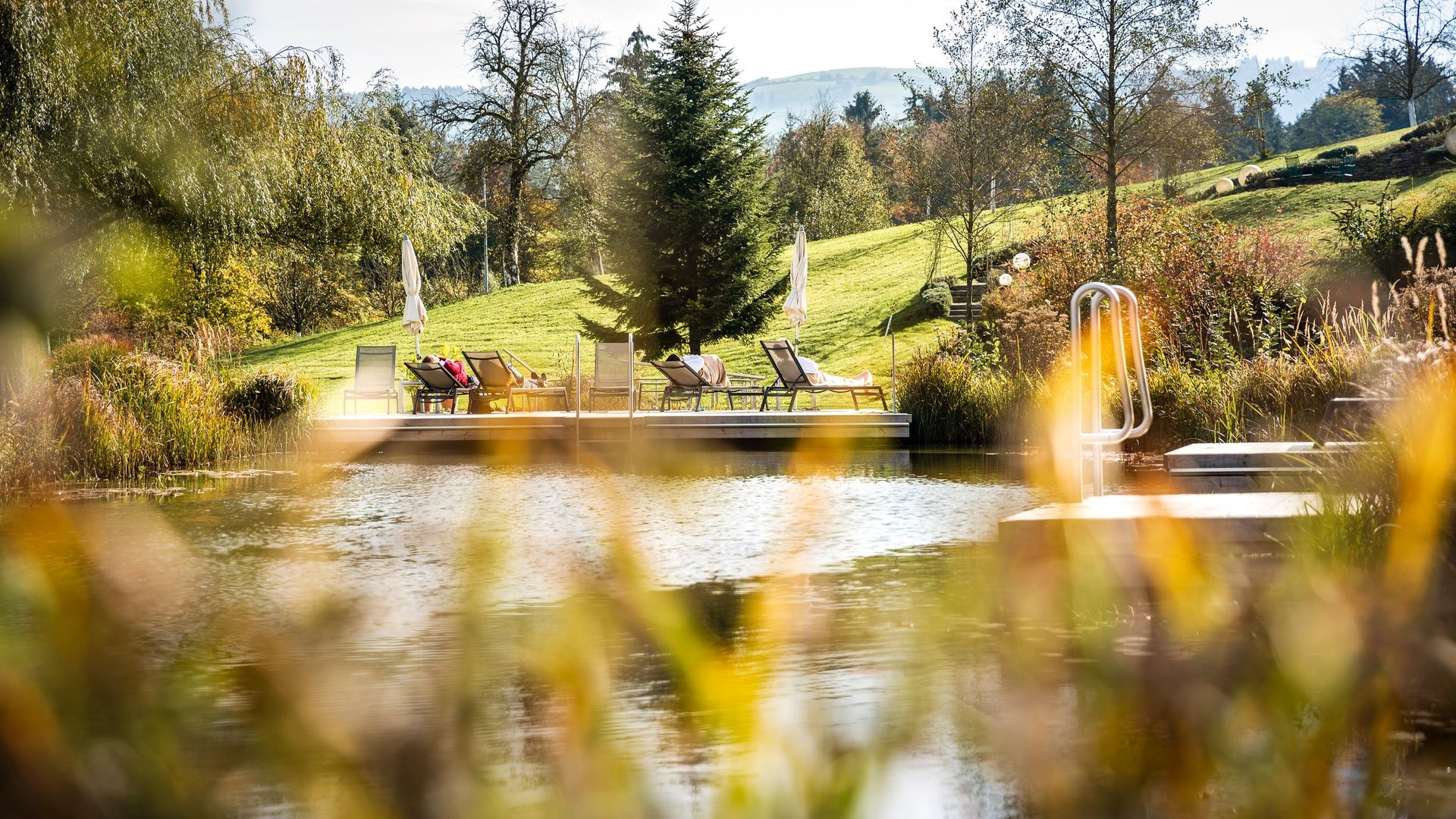 Garden with swimming biotope