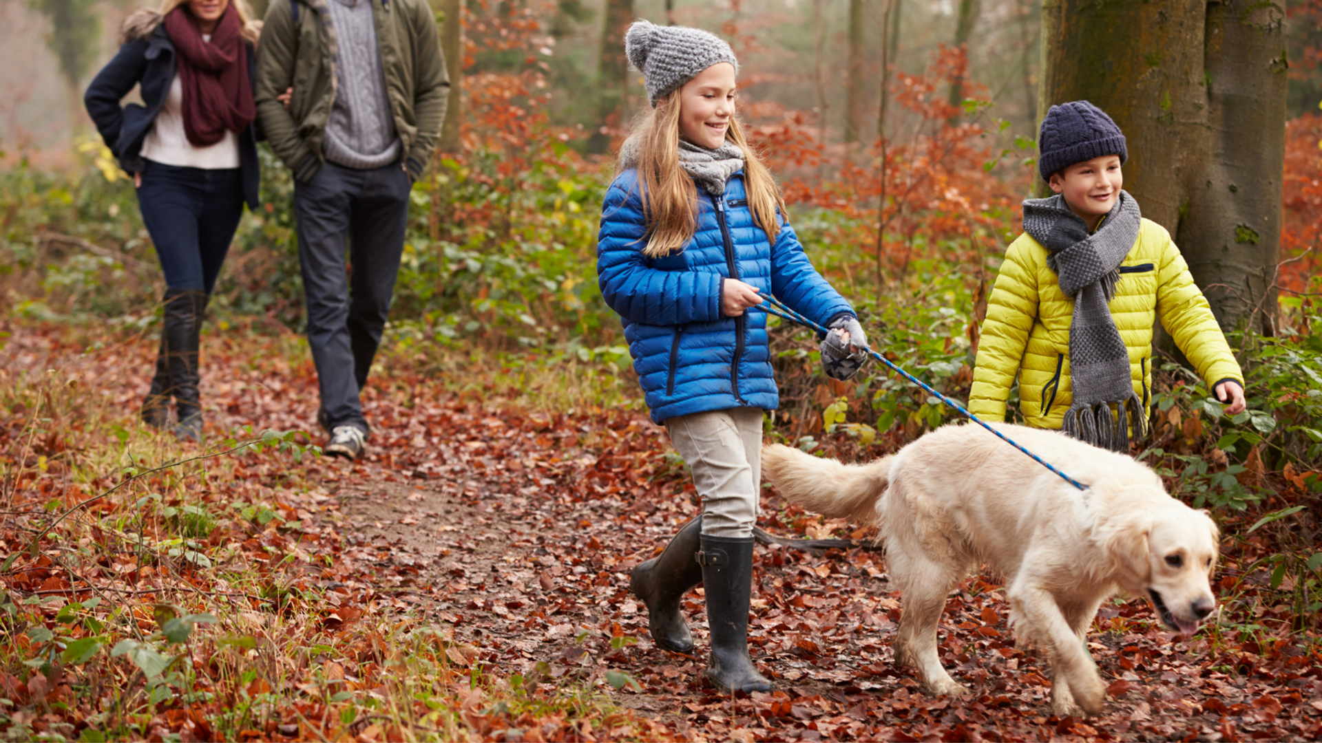 family holiday autumn