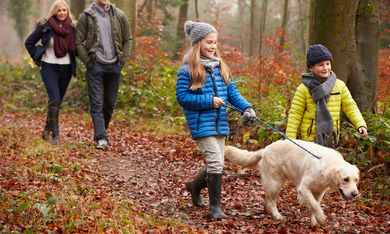 Angebot: Familienzeit im Herbst - Das Schloss an der Eisenstrasse