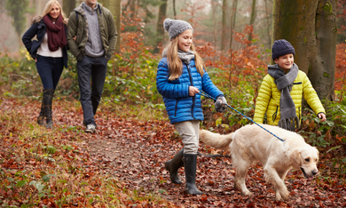 Angebot: Family Herbst - Das Schloss an der Eisenstrasse