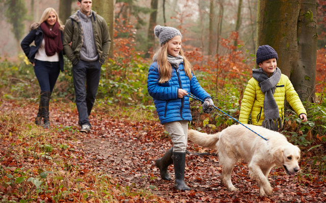 Familienurlaub Herbst Mostviertel