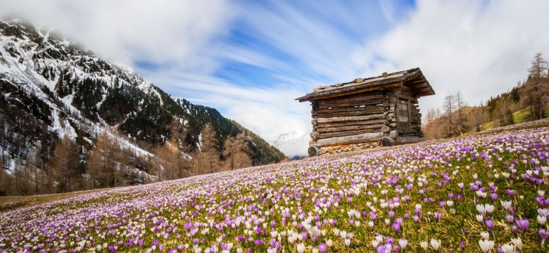 Panorama Wellness Resort Alpen Tesitin*****: AT Blossom