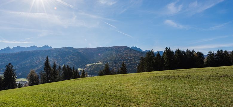 Panorama Wellness Resort Alpen Tesitin*****: Alpin Suite image #2