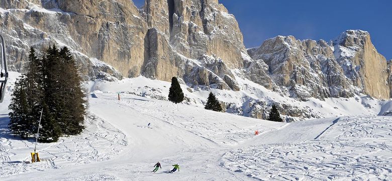 Dolomit Resort Cyprianerhof: Carezza Ski