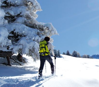 Dolomit Resort Cyprianerhof: Snow-shoe adventures
