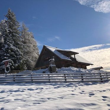 Winter, Gregor Peter Hütte, Preitenegg, Kärnten, Kärnten, Österreich