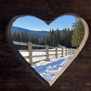 Winter, Gregor Peter Hütte, Preitenegg, Kärnten, Carinthia , Austria