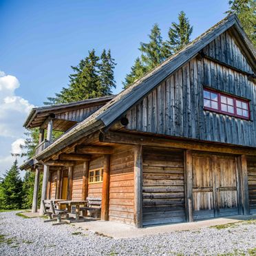 Sommer, Gregor Peter Hütte, Preitenegg, Kärnten, Kärnten, Österreich