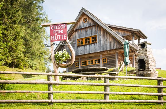 Sommer, Gregor Peter Hütte, Preitenegg, Kärnten, Kärnten, Österreich