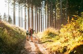 MidWeek Sommer 2027 (5=4)