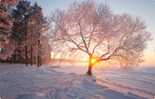 Winterzauber (-20%)