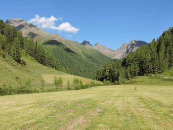 Unterkofler Almhütte - Tirol - Österreich