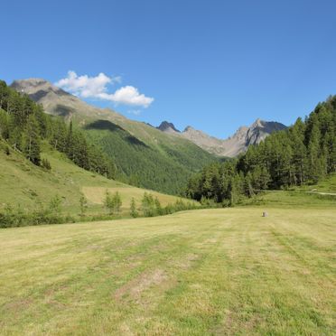 Aussicht, Unterkofler Almhütte, Außervillgraten , Tirol, Tirol, Österreich