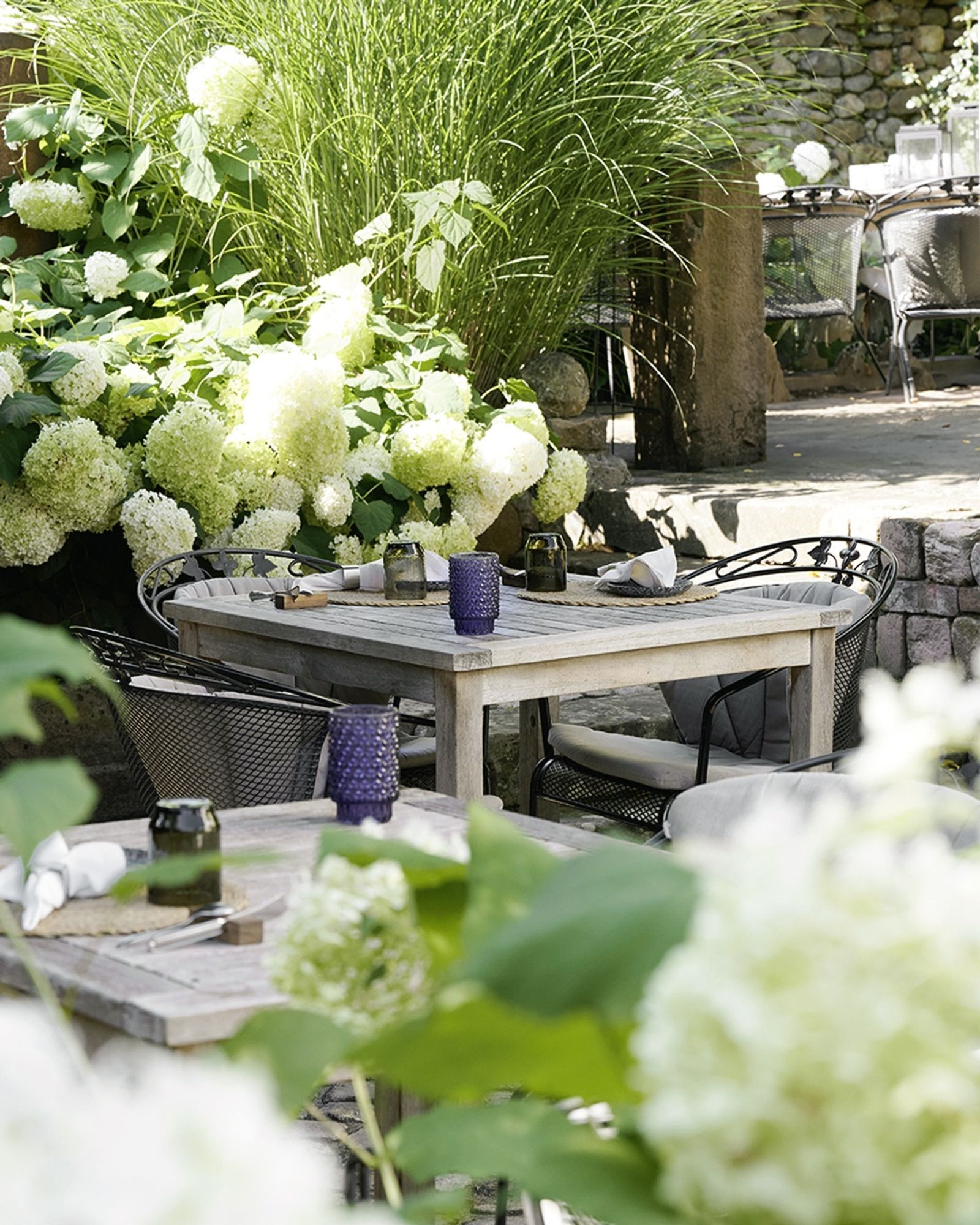 Alles für die Mama image 3 - Die Reichsstadt