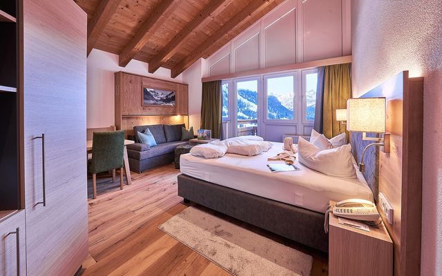 Hotel Zimmer: NEU Bärenblick | 35 qm - 1-Raum - Kaiserhof