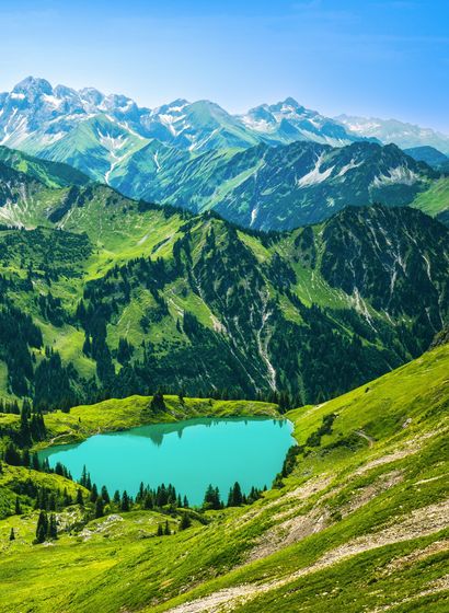 Angebot: Eröffnungsangebot -15% - Tanneck