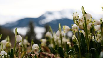 Last Minute Frühlingsangebot -15%