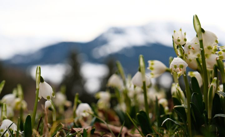 Last Minute Frühlingsangebot -15%