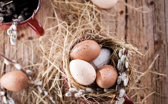 Osterglück im Antoniushof