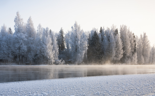 Winter magic at the Hotel & Mainau-glossy image 9 - Wirthshof Resort