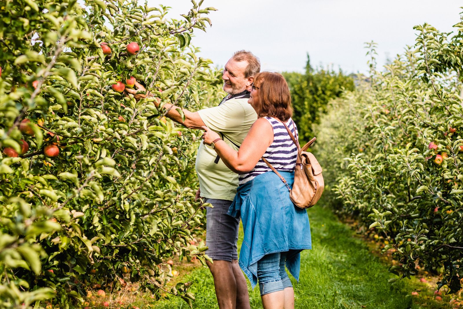 Cycling & hiking enjoyment on Lake Constance image 3 - Wirthshof Resort