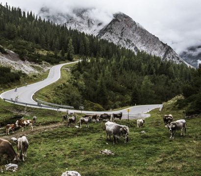 Hotel Sommer: hiking week