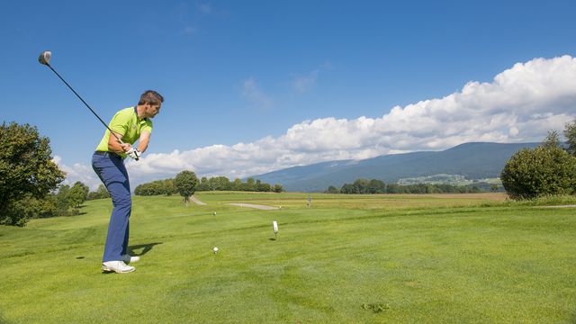 AIGO Golf Safari