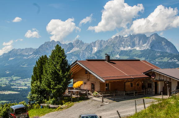 Sommer, Steinbergalm, Kitzbühel, Tirol, Tirol, Österreich