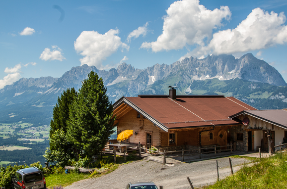 Summer, Steinbergalm, Kitzbühel, Tirol, Tyrol, Austria