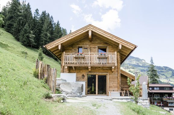 Sommer, Chalet Almrausch, Großarl, Salzburg, Salzburg, Österreich