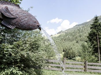 Chalet Wildberg - Salzburg - Österreich