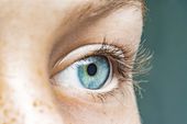 Augenscreening (auf Anfrage)