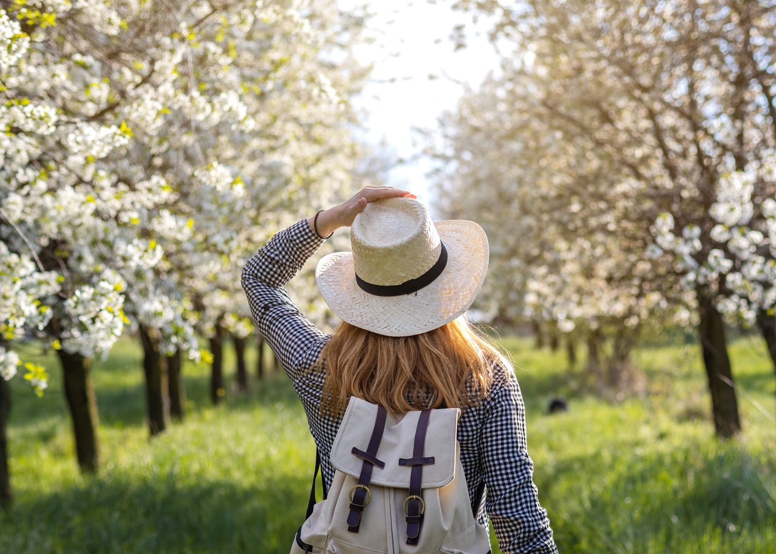 Frühlingsarrangement image 1 - Hotel Sonne Gengenbach