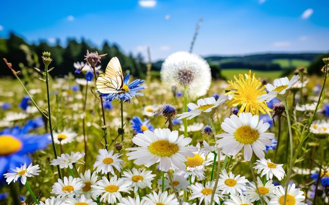 Angebot: Last Minute-Arrangement - Hotel Sonne Gengenbach