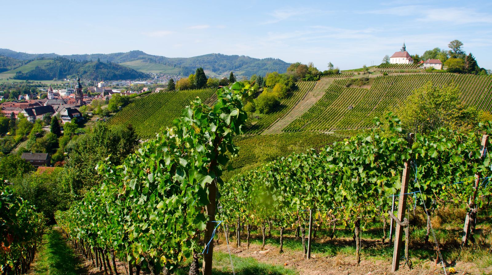 Time out in Baden image 1 - Hotel Sonne Gengenbach