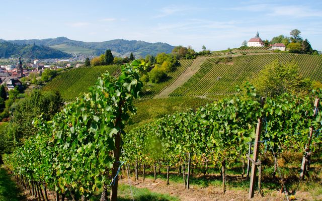 Offer: Time out in Baden - Hotel Sonne Gengenbach