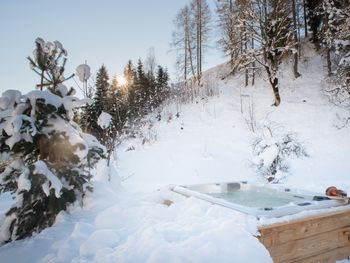 Meine kleine Alm - Salzburg - Österreich