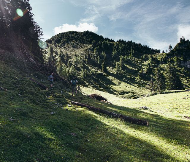 Angebot: Kräuter-Wanderglück - Sonnhof by Vitus Winkler