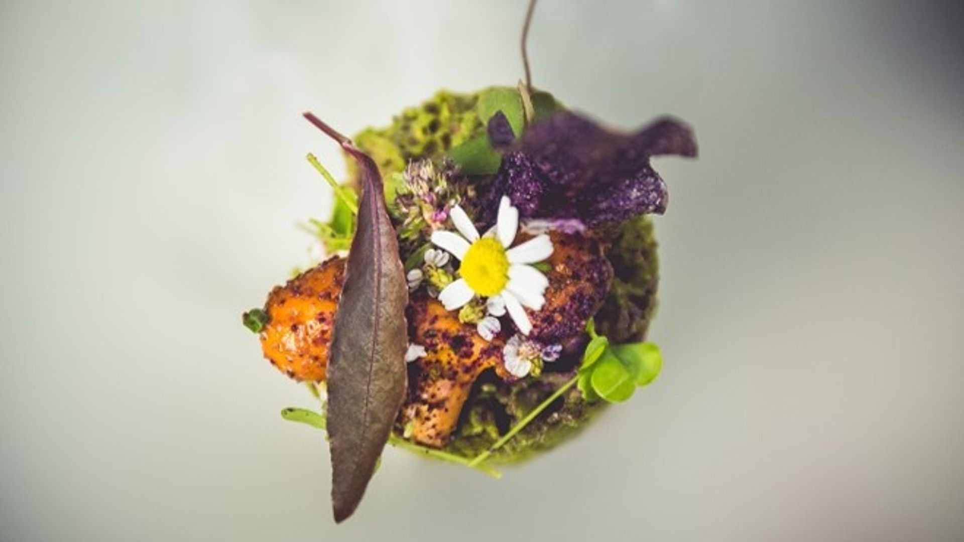 Gourmet Genuss im Frühsommer Sonnhof by Vitus Winkler