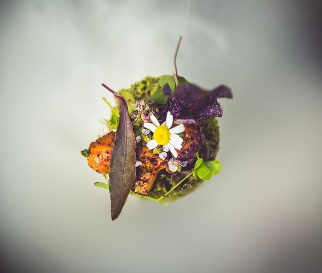 Offer: Premium gourmet short break  - Sonnhof by Vitus Winkler