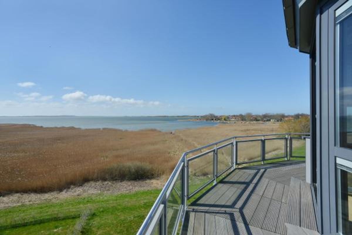 Der Leuchtturm – 4 Pfoten im Haus am Meer